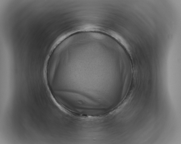 X0000112031429200908171442
