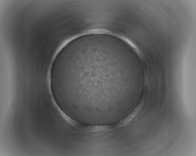 X0000112031430200908171442
