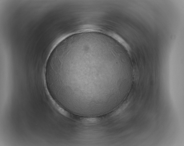 X0000112031431200908171442