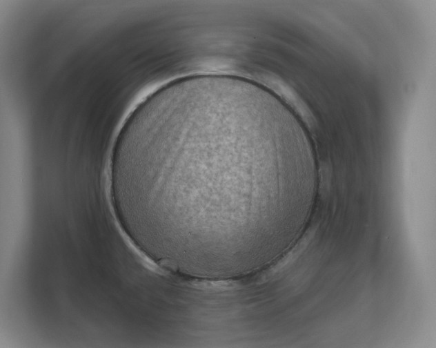 X0000112031432200908171442