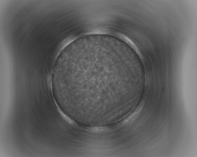 X0000112031433200908171442
