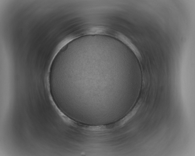 X0000112031434200908171442