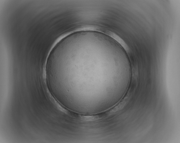 X0000112031436200908171442