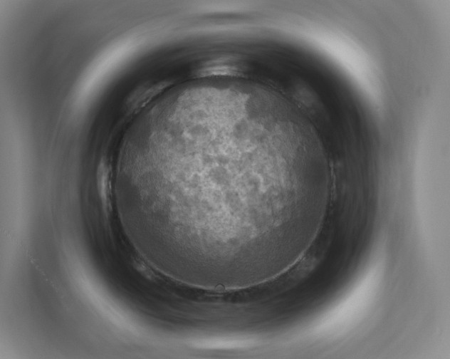 X0000112031438200908171442
