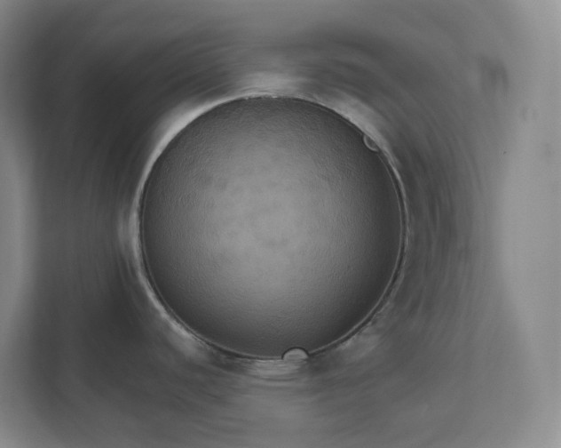 X0000112031440200908171442