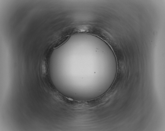 X0000112031442200908171441