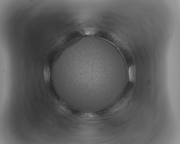 X0000112031443200908171441