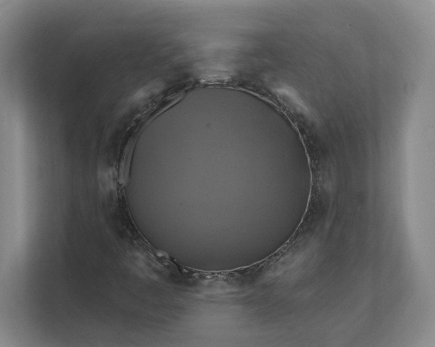 X0000112031445200908171441