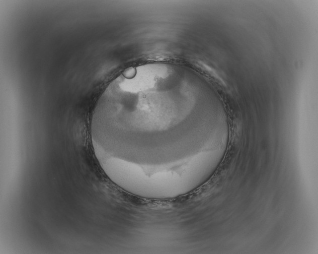 X0000112031446200908171441
