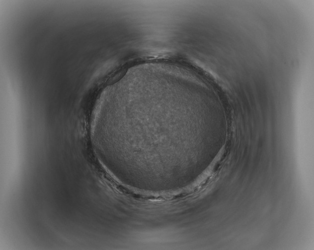 X0000112031447200908171441