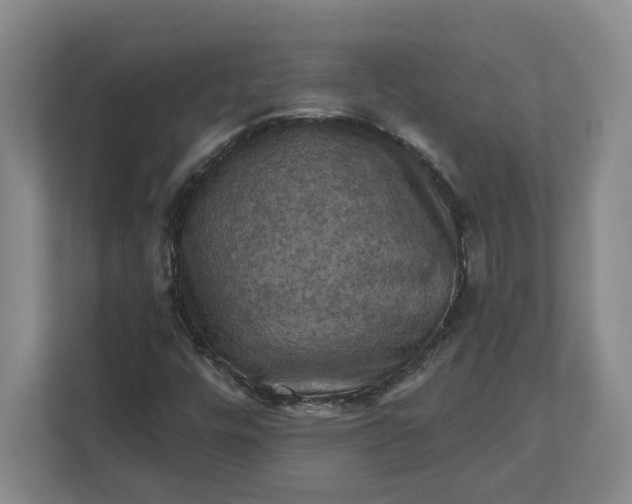 X0000112031448200908171441