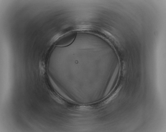 X0000112031449200908171441