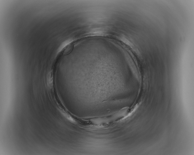 X0000112031450200908171441