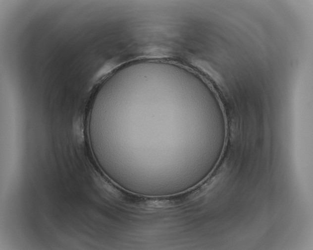 X0000112031451200908171441