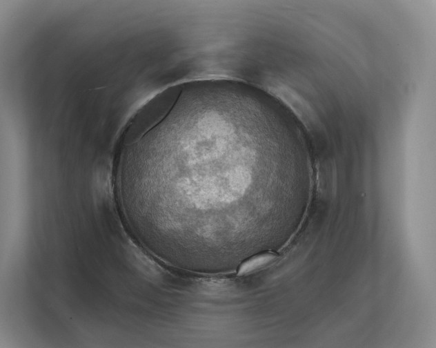 X0000112031452200908171441