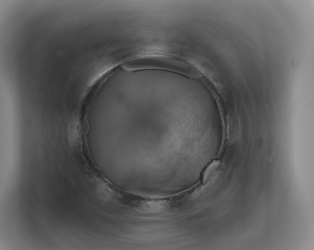 X0000112031453200908171441