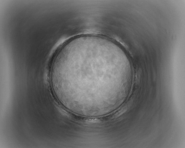 X0000112031454200908171441