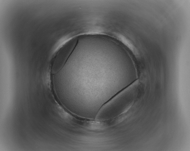X0000112031456200908171441