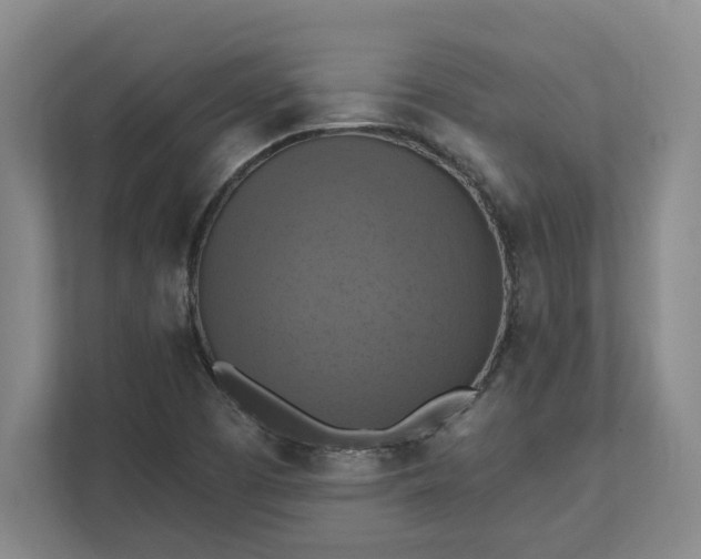 X0000112031457200908171441