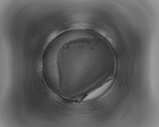 X0000112031459200908171441