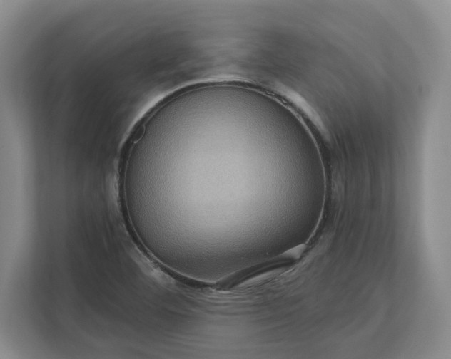 X0000112031460200908171441