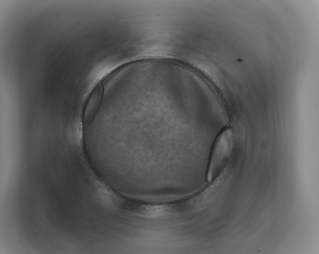 X0000112031461200908171441