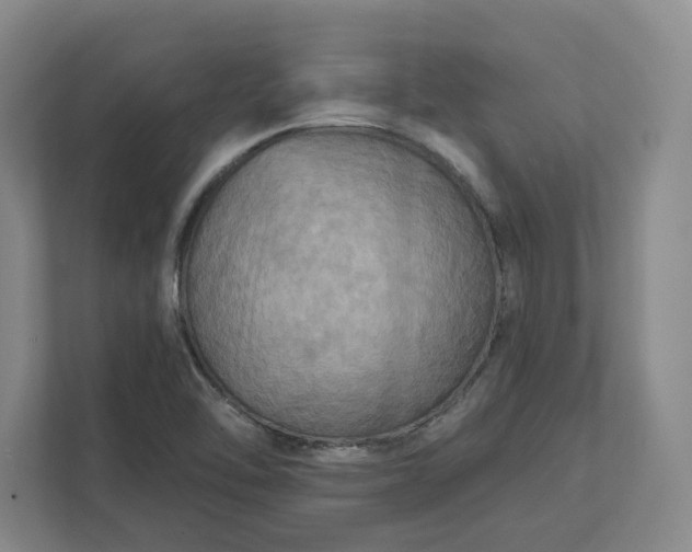 X0000112031462200908171441