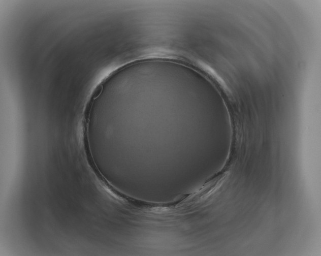 X0000112031463200908171441