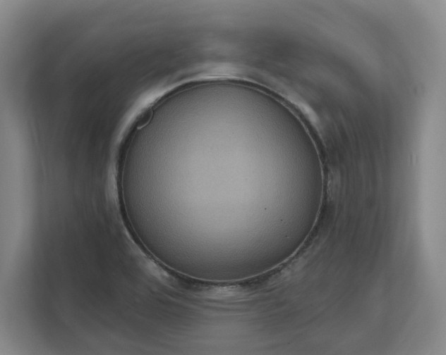 X0000112031464200908171441