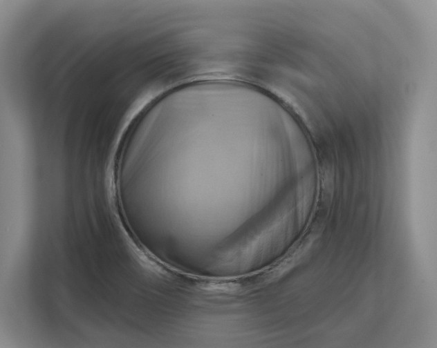 X0000112031466200908171441