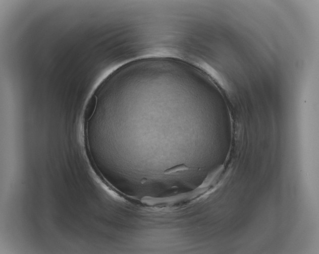 X0000112031468200908171441