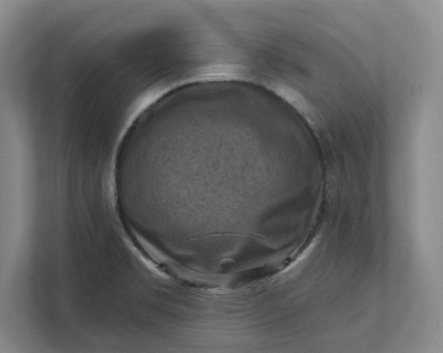X0000112031469200908171441