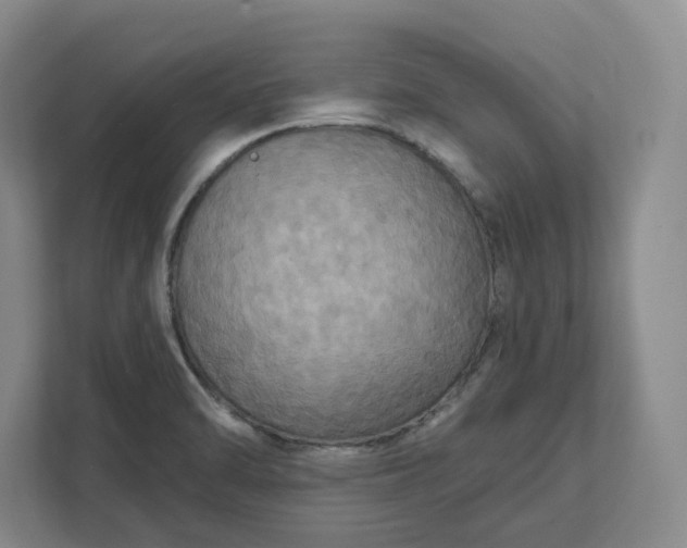 X0000112031470200908171441