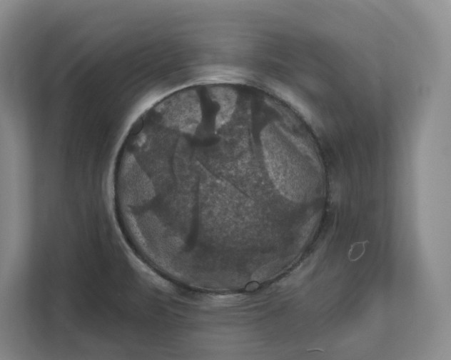 X0000112031471200908171441