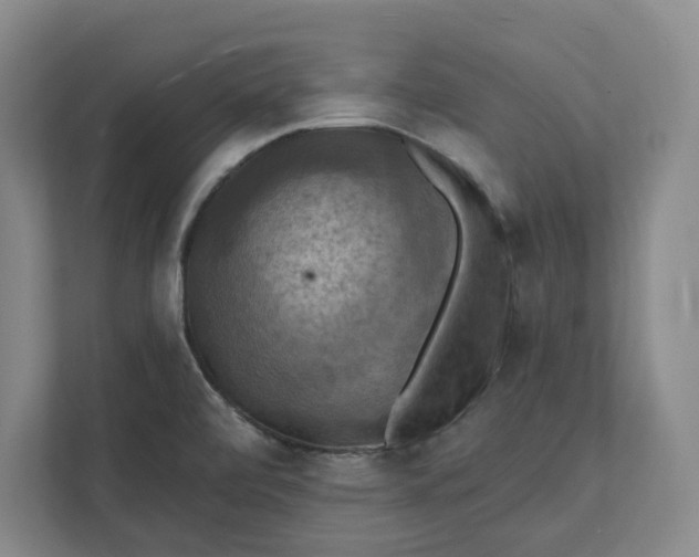 X0000112031472200908171441
