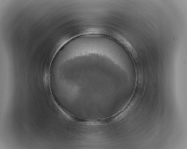 X0000112031473200908171441