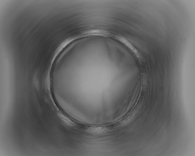 X0000112031474200908171441