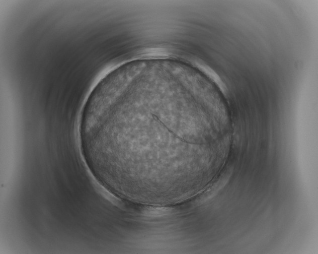 X0000112031475200908171441