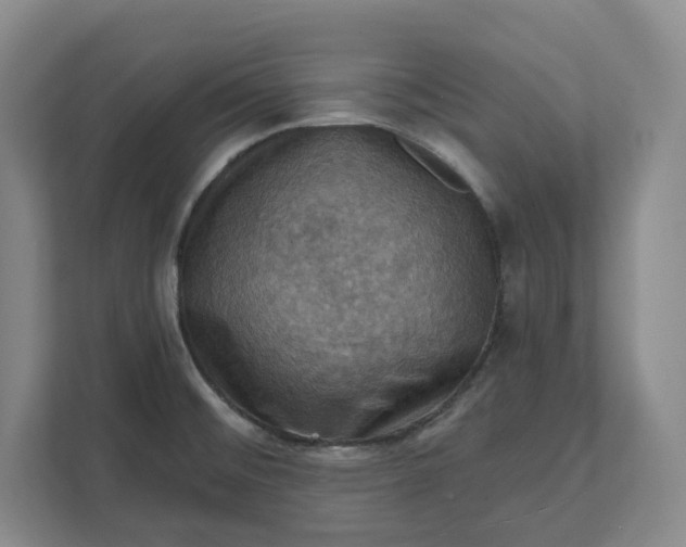 X0000112031476200908171441
