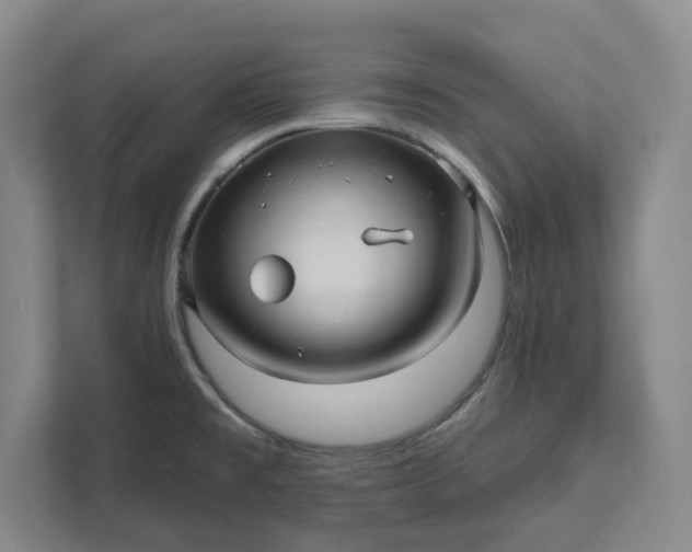 X0000112031477200908171441