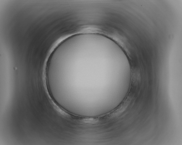 X0000112031478200908171441
