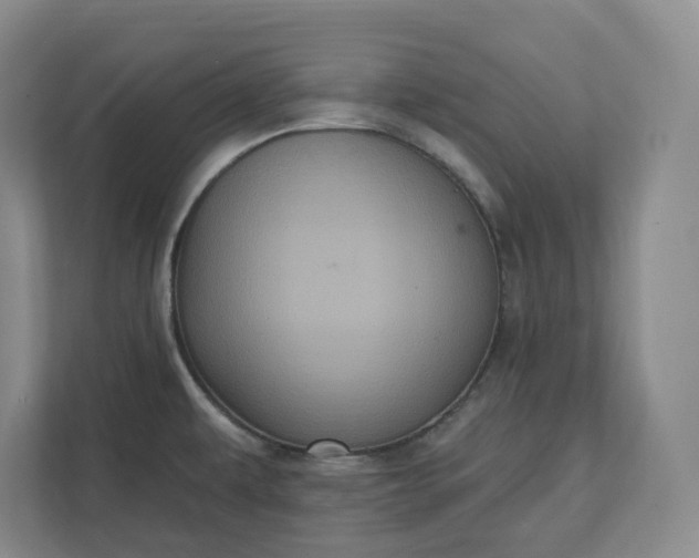 X0000112031479200908171441