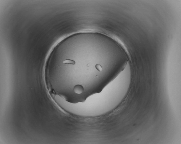 X0000112031480200908171441