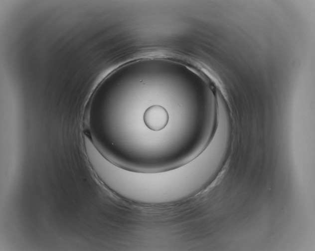 X0000112031481200908171441