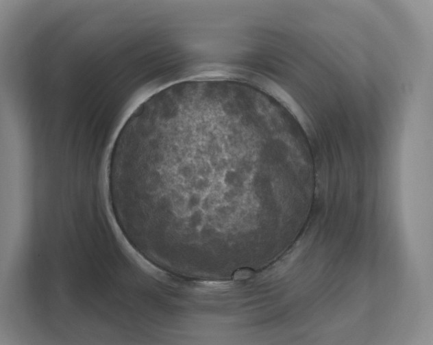 X0000112031483200908171441