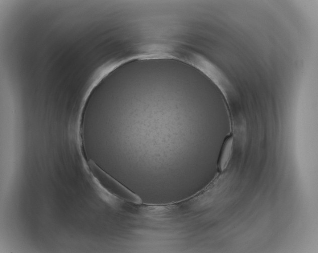 X0000112031485200908171441