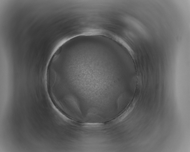 X0000112031487200908171441