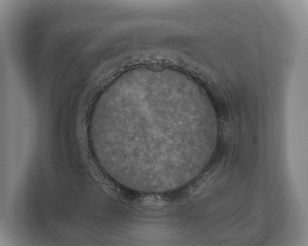 X0000112031489200908171440