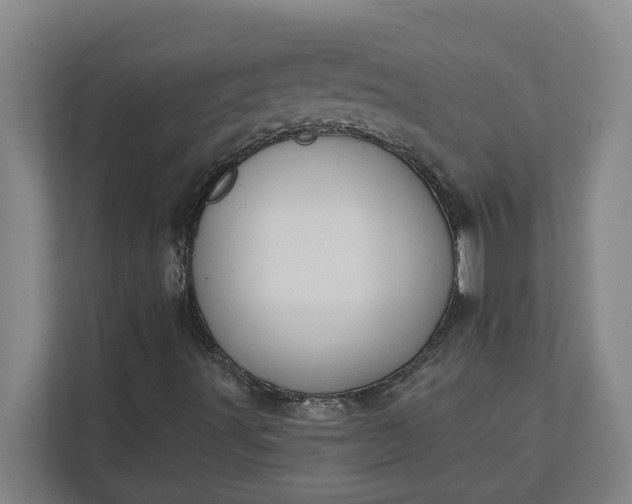 X0000112031491200908171440