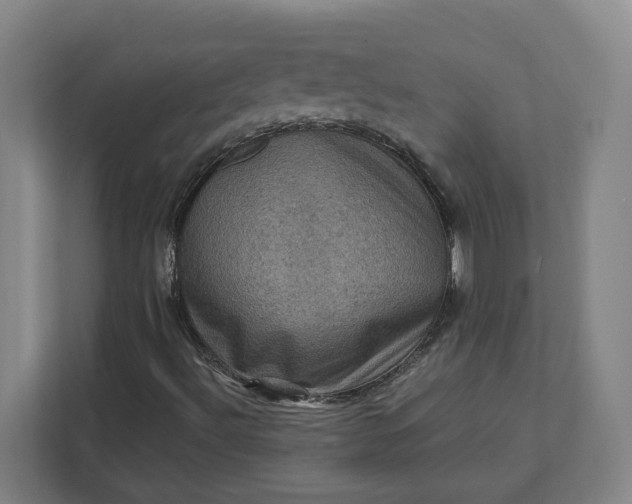 X0000112031492200908171440